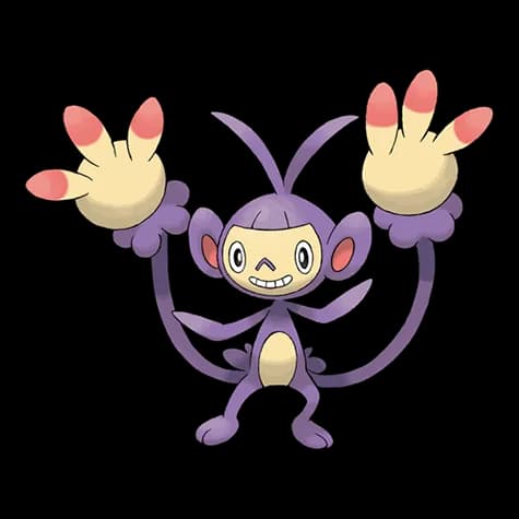 Ambipom
