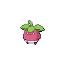 Bounsweet — Atual / Current