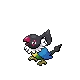 Chatot — Gen IV