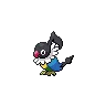 Chatot — Gen V