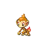 Chimchar — Atual / Current