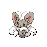 Cinccino — Atual / Current