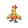 Combusken — Atual / Current