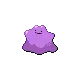 Ditto — Gen IV