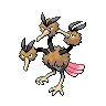 Dodrio — Atual / Current
