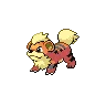 Growlithe — Gen V