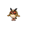 Hoothoot — Atual / Current