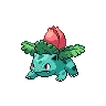 Ivysaur — Atual / Current
