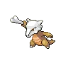 Marowak — Atual / Current