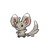 Minccino — Gen V