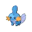 Mudkip — Gen III