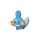 Mudkip — Gen IV