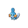 Mudkip — Gen V
