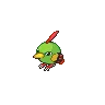 Natu — Atual / Current