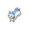 Pachirisu — Atual / Current