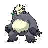 Pangoro — Atual / Current
