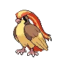 Pidgeot — Gen V