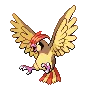Pidgeotto — Gen V
