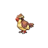 Pidgey — Gen V
