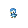 Piplup — Atual / Current