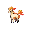 Ponyta — Gen V