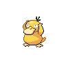 Psyduck — Atual / Current
