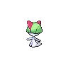 Ralts — Atual / Current