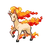 Rapidash — Gen V