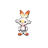 Scorbunny — Atual / Current