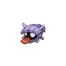 Shellder — Gen V