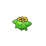 Skiploom — Atual / Current