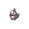 Starly — Atual / Current