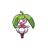 Steenee — Atual / Current