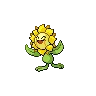 Sunflora — Atual / Current