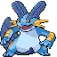 Swampert — Gen III