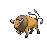 Tauros — Atual / Current