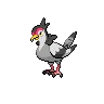 Tranquill — Atual / Current