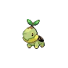 Turtwig — Atual / Current