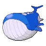 Wailord — Gen V