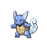 Wartortle — Atual / Current