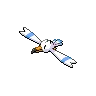 Wingull — Atual / Current