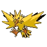 Zapdos — Atual / Current